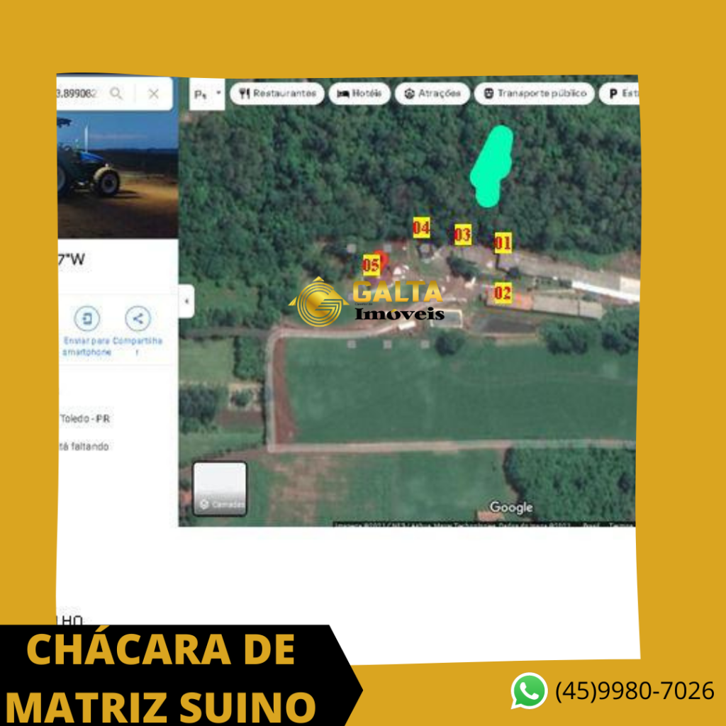 CHÁCARA COM GRANJA SUINO DE MATRIZES EM SARANDI